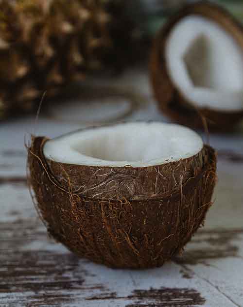 The Many Uses of Coconut Oil