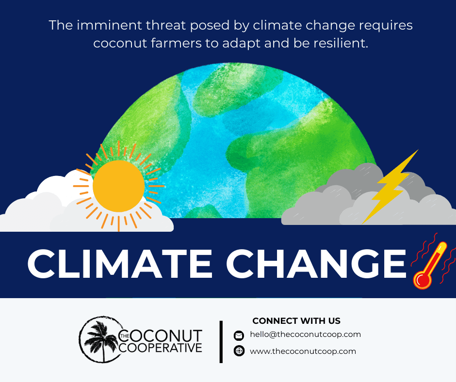 Coconut farmers in climate change adaptation - The Coconut Cooperative -
