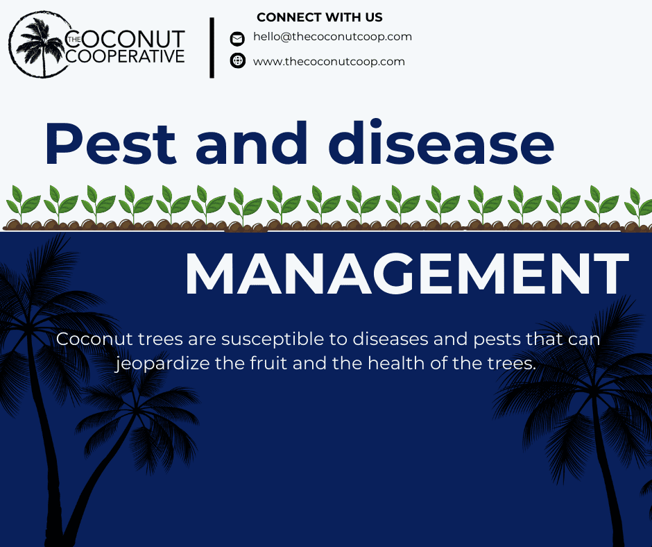 Pest and disease management in coconut farming - The Coconut Cooperative -