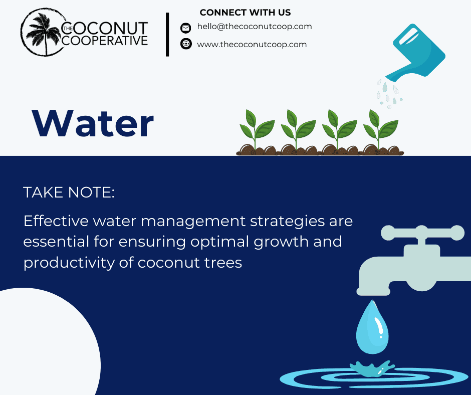 The effect of water in coconut cultivation - The Coconut Cooperative -