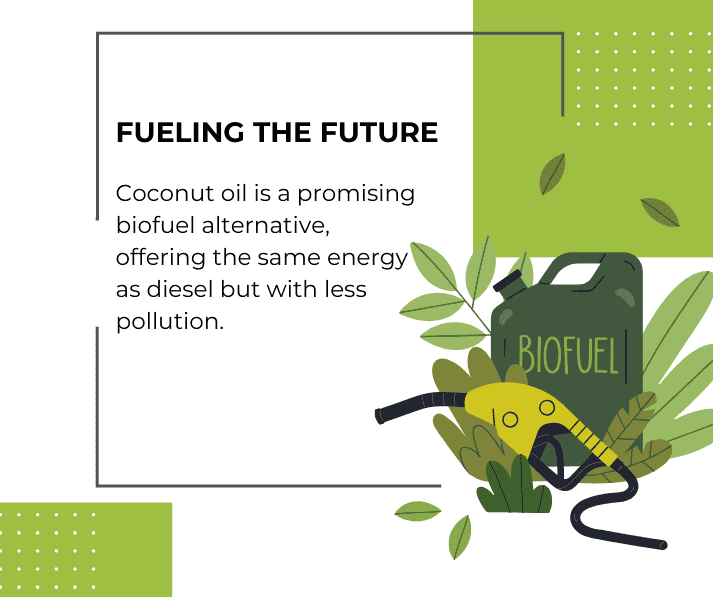 Fueling the future - The Coconut Cooperative -