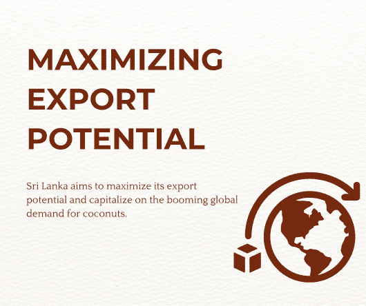 Maximizing export potential - Bulk coconut supplier in California - The Coconut Cooperative -