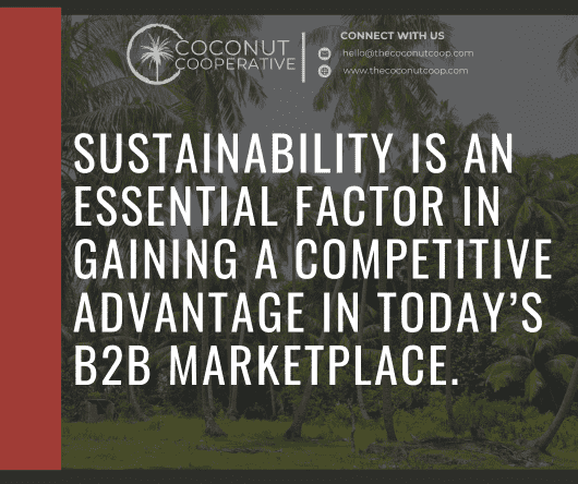 Conclusion - B2B coconut marketplace - The Coconut Cooperative -