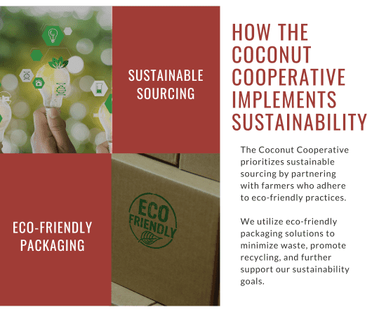 How The Coconut Cooperative implements sustainability - The Coconut Coop -