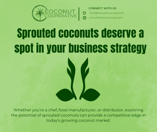 Conclusion - Sprouted coconuts deserve a spot in your business strategy - The Coconut Cooperative -