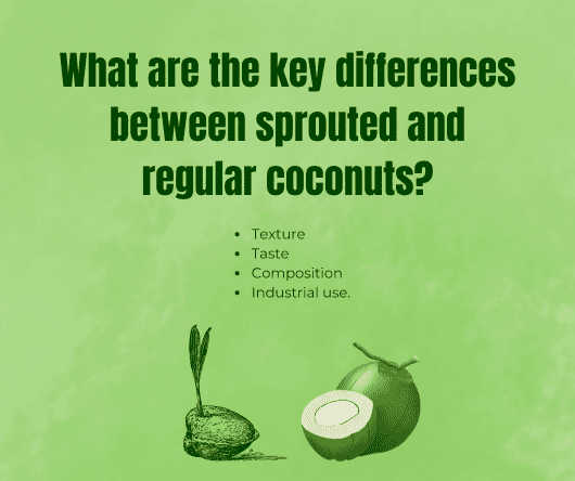 What are the key differences between sprouted and regular coconuts - The Coconut Cooperative -