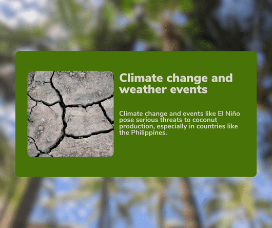 Effect of climate change and weather events on coconuts - The Coconut Cooperative -