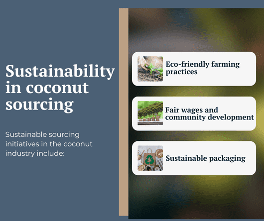 Sustainability in sourcing bulk coconut ingredients - The Coconut Cooperative -
