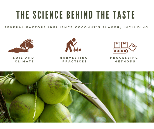 The science behind the taste of coconuts - The Coconut Cooperative -