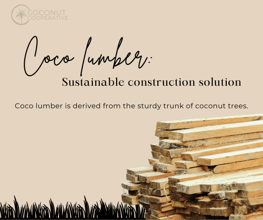Coco lumber as sustainable construction solution - The Coconut Cooperative -