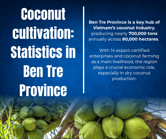 Coconut cultivation and statistics in Ben Tre Province - The Coconut Coop -