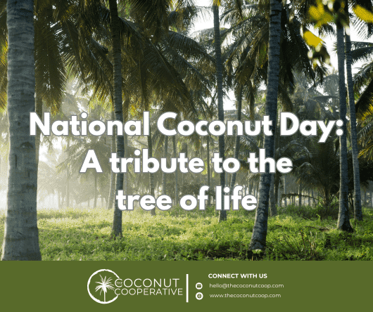 National Coconut Day: A tribute to the tree of life