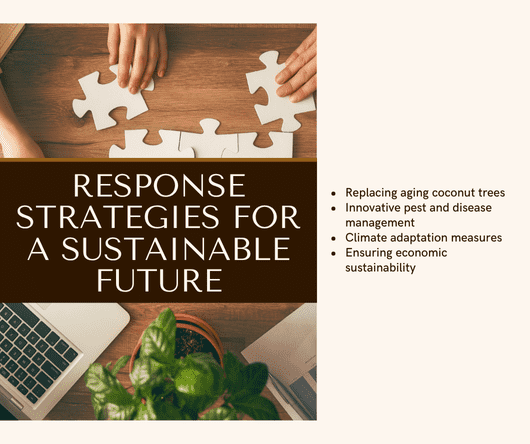 Response strategies for a sustainable future in the coconut market - The Coconut Cooperative -
