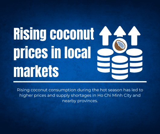 Rising coconut prices in local markets - The Coconut Cooperative -