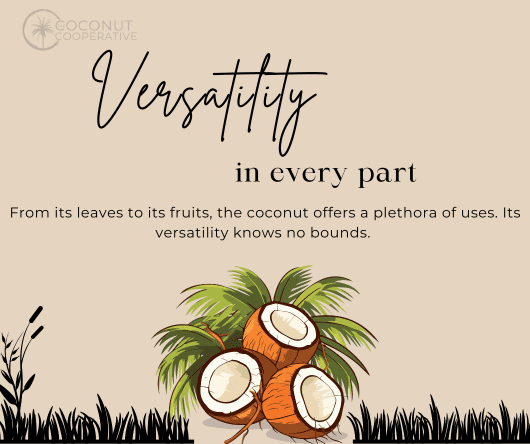 Versatility in every part of the coconut tree - The Coconut Cooperative -