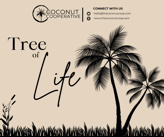 Coconut: The tree of life