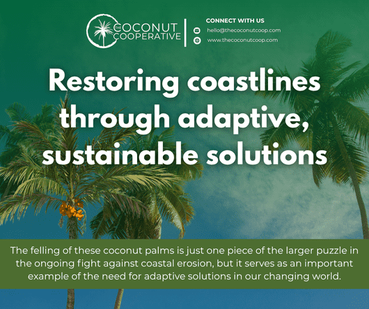 Conclusion - Restoring coastlines throguh adaptive, sustainable solutions - The Coconut Cooperative -