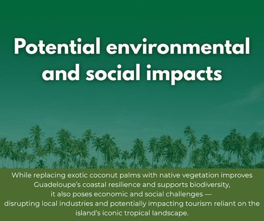 Potential environmental and social impacts - Coconut palms in Guadeloupe - The Coconut Cooperative -