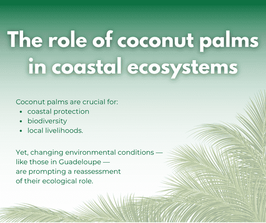 The role of coconut palms in coastal ecosystems - The Coconut Cooperative -