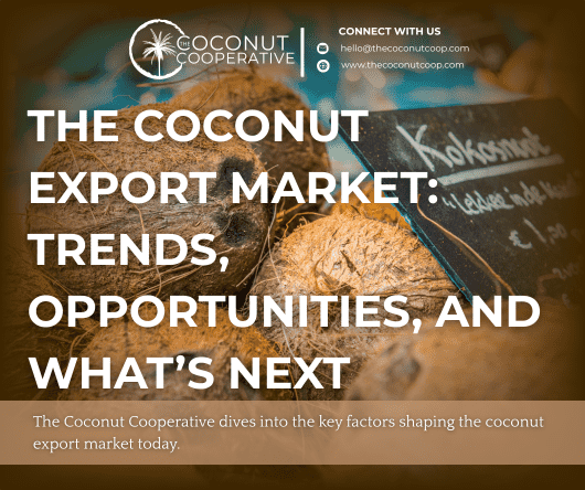 The coconut export market: Trends, opportunities, and what’s next