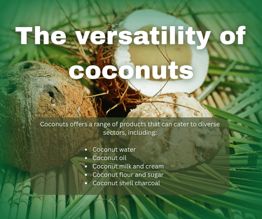 Are coconuts really versatile? - The Coconut Cooperative -