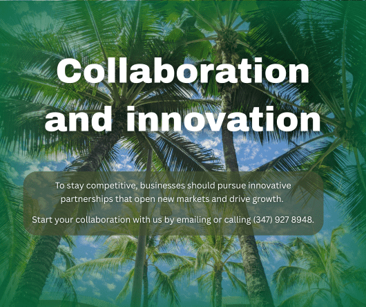 Collaboration and coconut product innovation - The Coconut Cooperative -