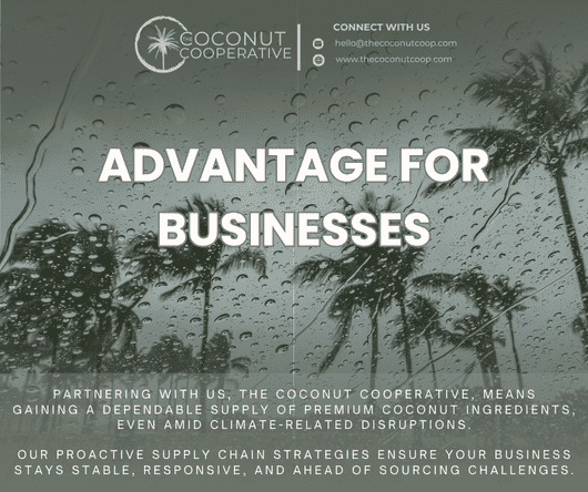 Conclusion - Advantage for coconut businesses despite climate challenges - The Coconut Cooperative -