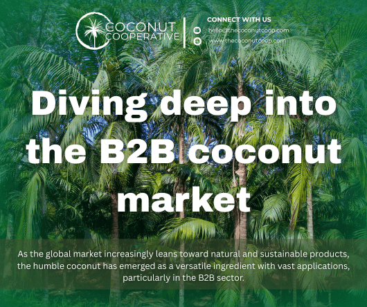 Diving deep into the B2B coconut market