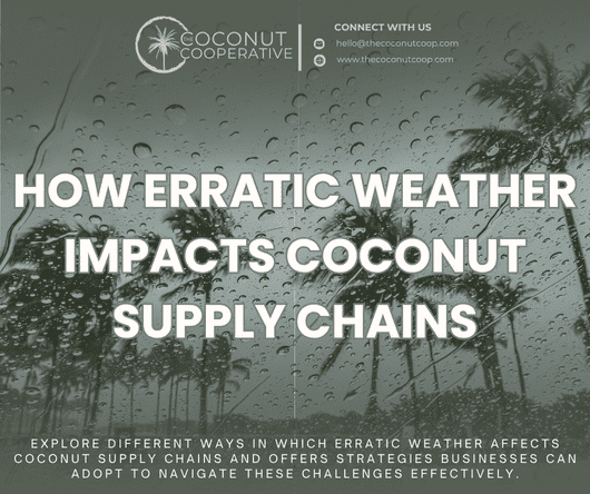 How erratic weather impacts coconut supply chains