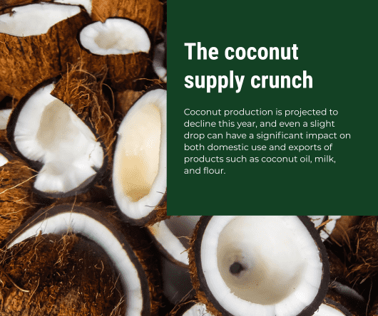 The coconut supply crunch - The Coconut Cooperative -