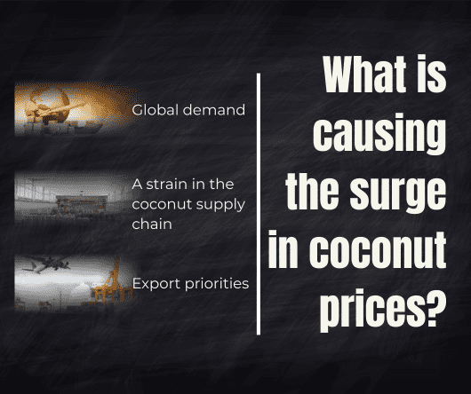 What is causing the surge in coconut prices in Kerala? - The Coconut Cooperative -