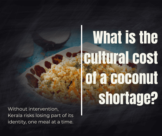 What is the cultural cost of a coconut shortage? - The Coconut Cooperative -