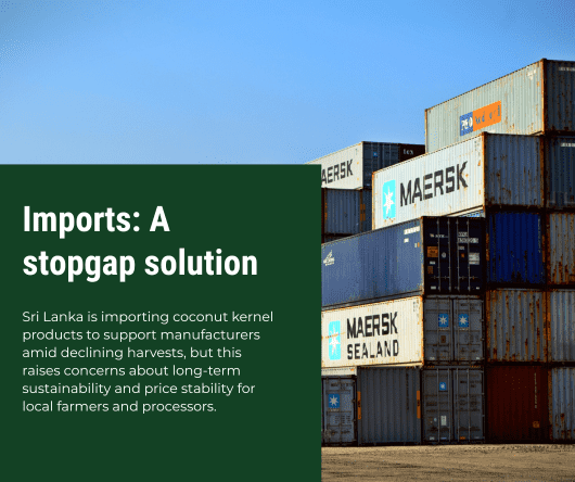 Why is Sri Lanka importing coconut kernels? - The Coconut Cooperative -