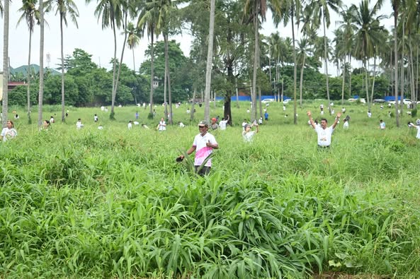 Conclusion - Building a resilient coconut industry - The Coconut Cooperative -