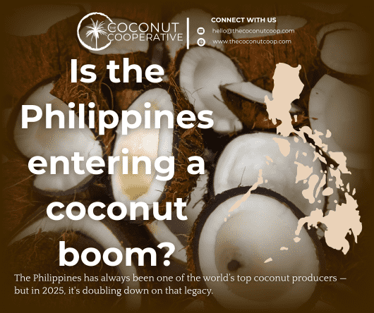 Is the Philippines entering a coconut boom?