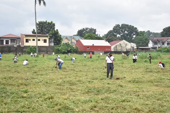 Planting coconuts for the future - The Coconut Cooperative -