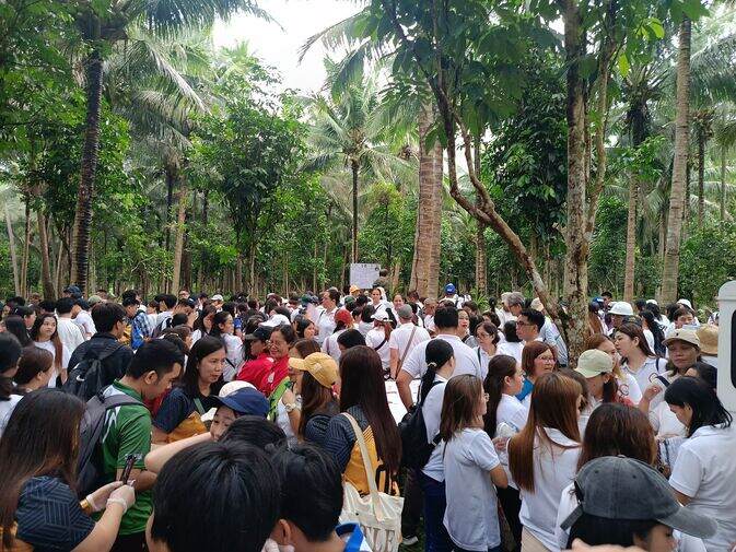 San Pablo City breaks Guinness World Records with coconut planting drive - The Coconut Cooperative -