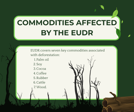 Commodities affected by the EUDR - The Coconut Cooperative -