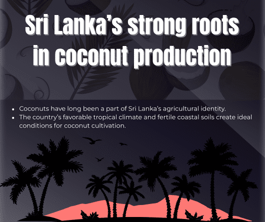 Sri Lanka’s strong roots in coconut production - The Coconut Cooperative -