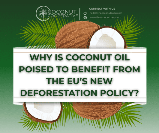 Why is coconut oil poised to benefit from the EU’s new deforestation policy?