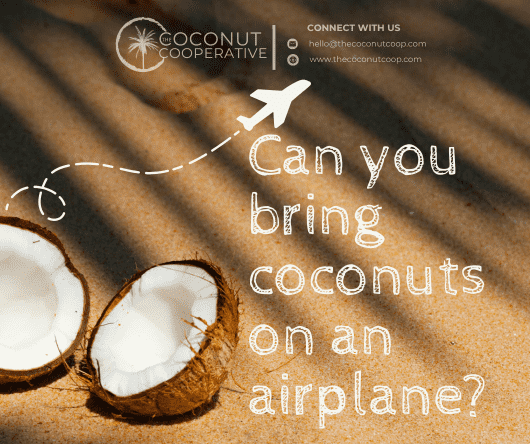 Can you bring coconuts on an airplane?