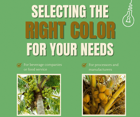 Selecting the right coconut for your needs in New Jersey - The Coconut Cooperative -