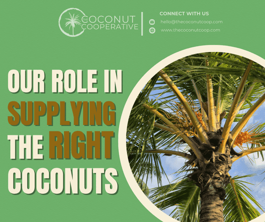 The role of The Coconut Coop in supplying premium quality coconuts in New York - The Coconut Cooperative -