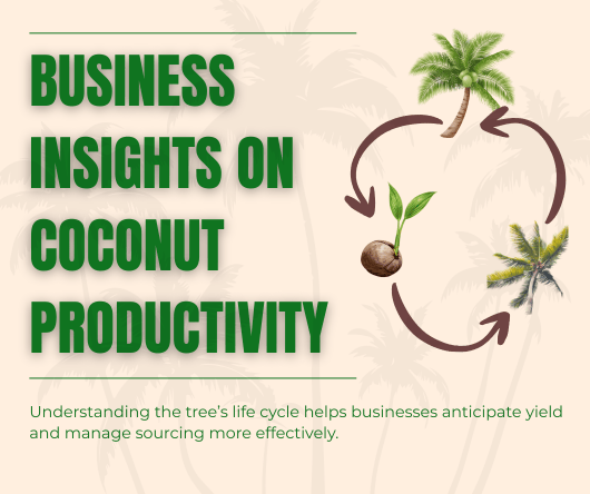 Business insights on coconut productivity - The Coconut Cooperative -