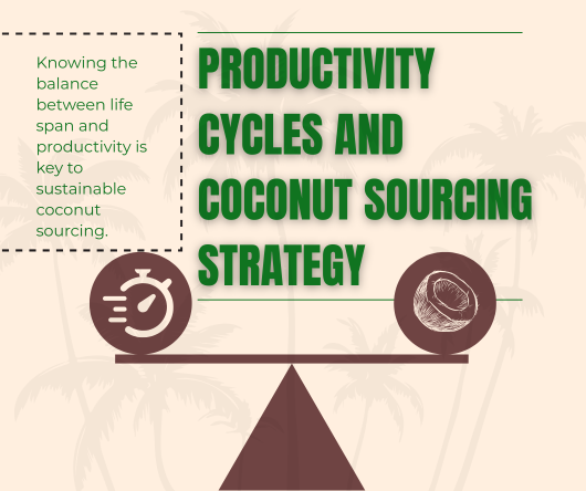 Conclusion - Productivity cycles and coconut sourcing strategy - The Coconut Cooperative -