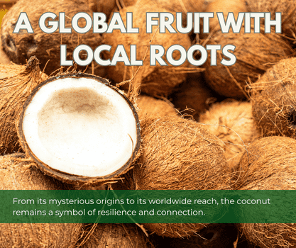 Conclusion - A global fruit with local roots - The Coconut Cooperative -