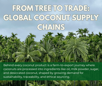 From tree to trade - Global coconut supply chains - The Coconut Cooperative -