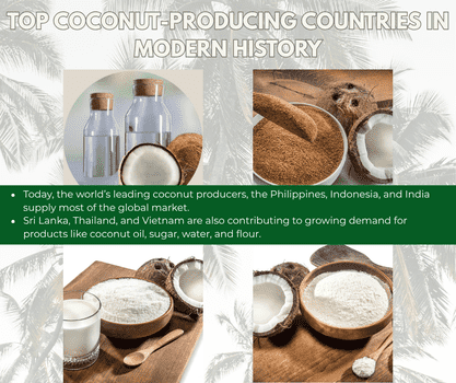 Top coconut-producing countries in modern history - The Coconut Cooperative -