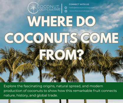 Where do coconuts come from?