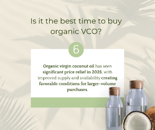 Is it the best time to buy organic VCO in the United States? - The Coconut Cooperative -